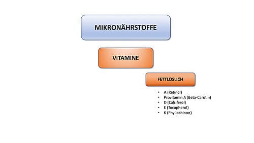 Fettlösliche Vitamine im Überblick