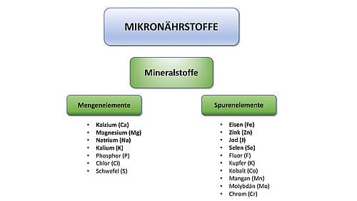 Überblick zu den Mineralstoffen