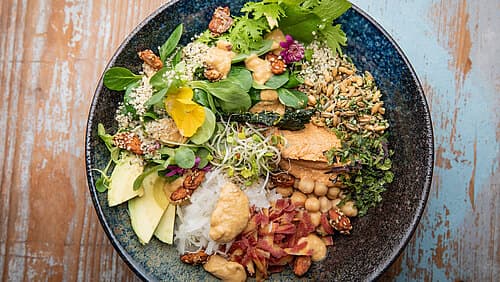 Bunte Salat-Bowls