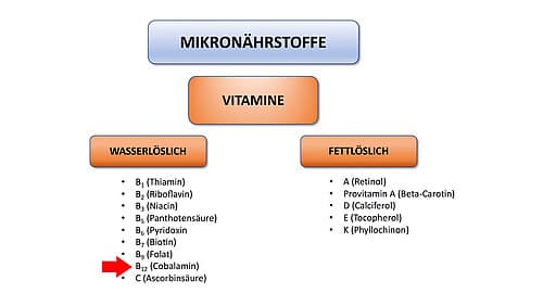 Wasserlösliche Vitamine im Überblick