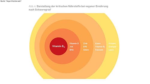 Die Bedarfsdeckung potentiell kritischer Nährstoffe