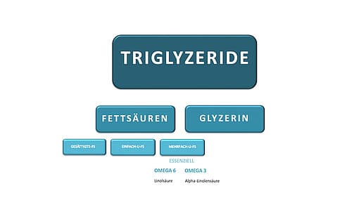 Rolle von hochwertigen Fetten in einer gesunden Ernährung