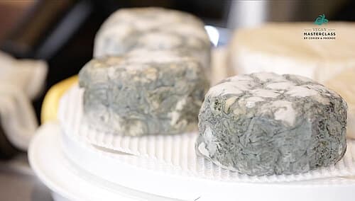 Blauschimmel Blauschimmel
