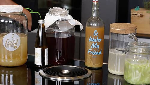 Einführung fermentierte Getränke Einführung fermentierte Getränke
