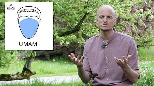 Geschmackswahrnehmungen verstehen Geschmackswahrnehmungen verstehen