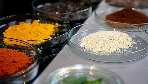 Gewürzkunde Gewürzkunde