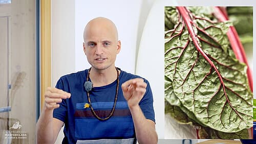 Gemüseempfehlungen für Garten oder Balkon Gemüseempfehlungen für Garten oder Balkon