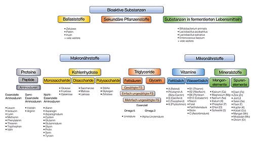 Überlebensnotwendige Nährstoffe für den Menschen Überlebensnotwendige Nährstoffe für den Menschen