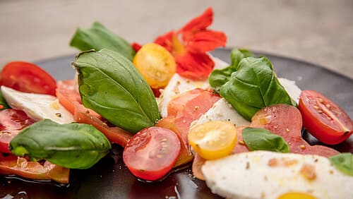 Caprese: Mozzarella Tomate Caprese: Mozzarella Tomate