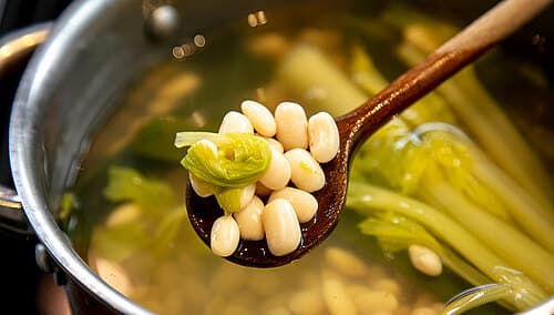 Hülsenfrüchte Hülsenfrüchte