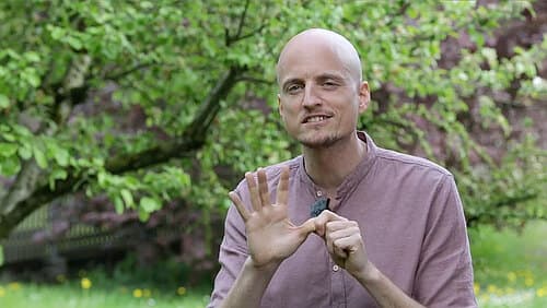 Was sind Bowls und warum eine Schüssel? Was sind Bowls und warum eine Schüssel?